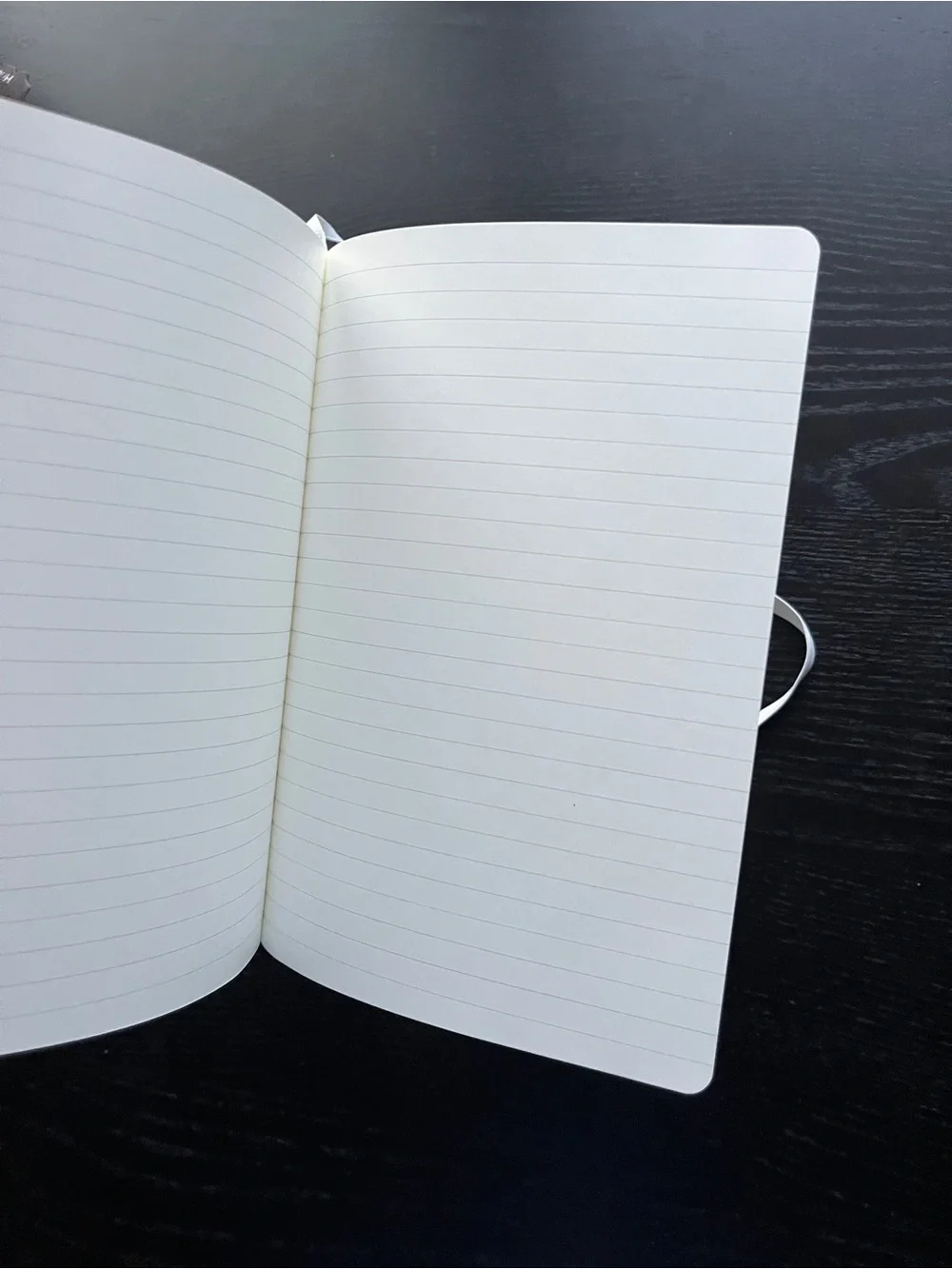 Paperage Datadog Hardcover Lined Journal Notebook White 5.7x8 Elastic Pocket